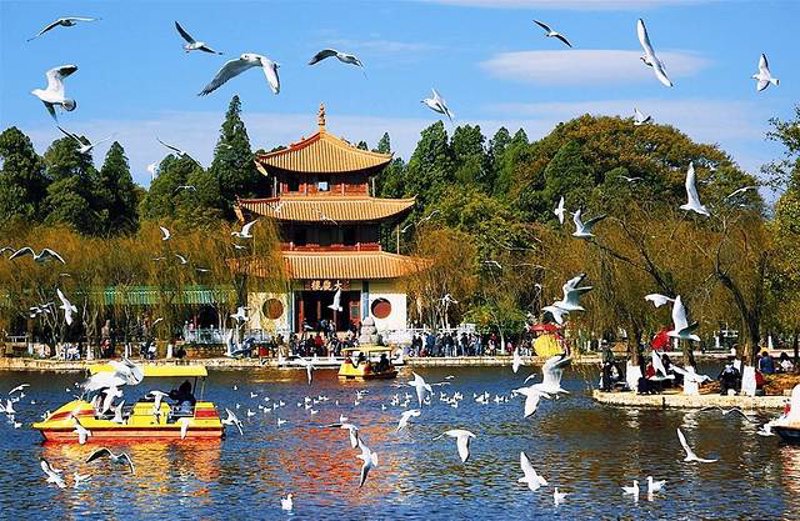 定制旅行管理与服务专业的未来：就业方向大盘点