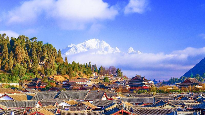 定制旅行管理与服务专业的就业方向广阔，究竟有哪些具体岗位？